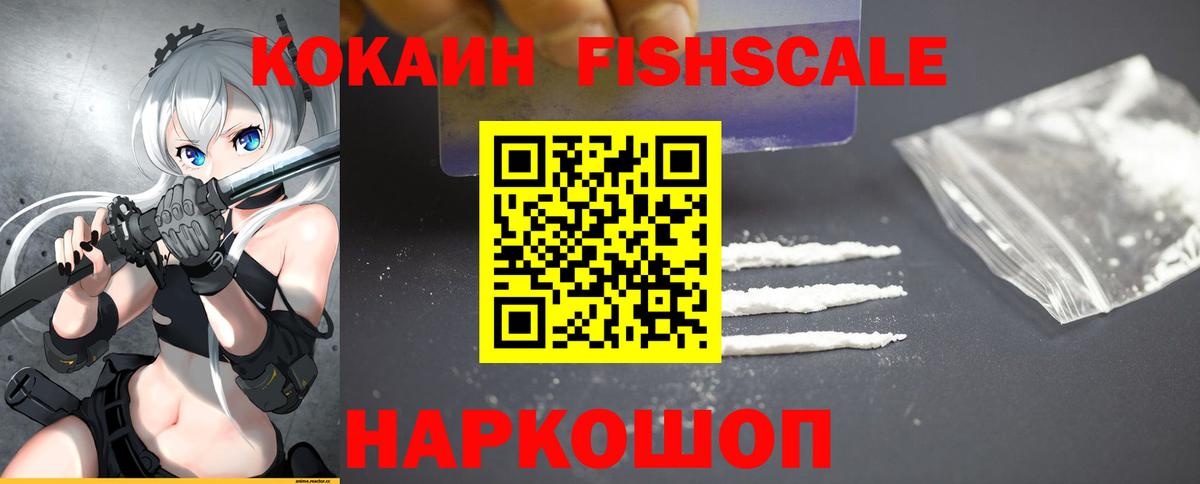 Тара  COCAIN Fish Scale  как найти закладки  COCAIN Перу  Вход с VPN  Кокаин 