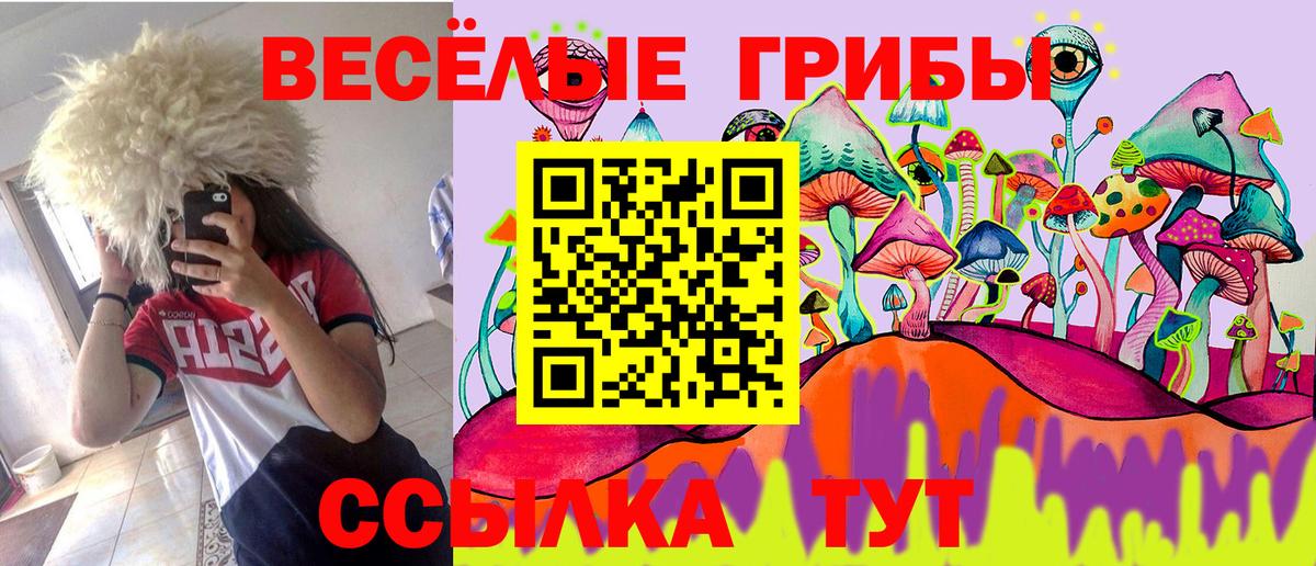 Псилоцибиновые грибы Psilocybine cubensis Тара
